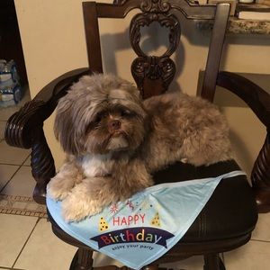 Meet your Posher, Elva